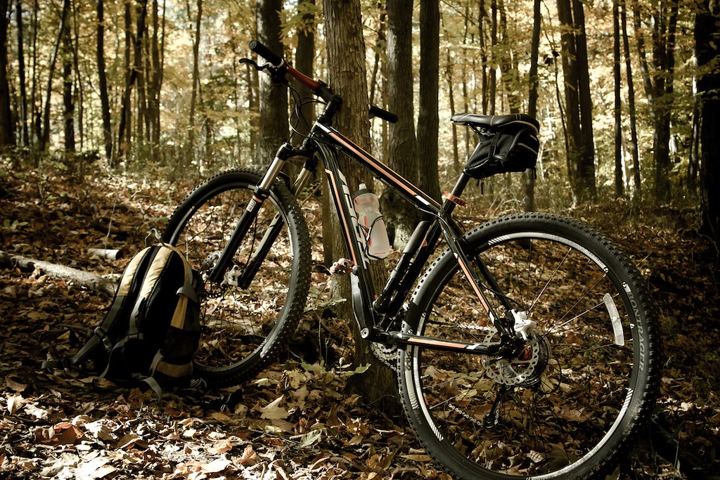 Mountain bike in the woods