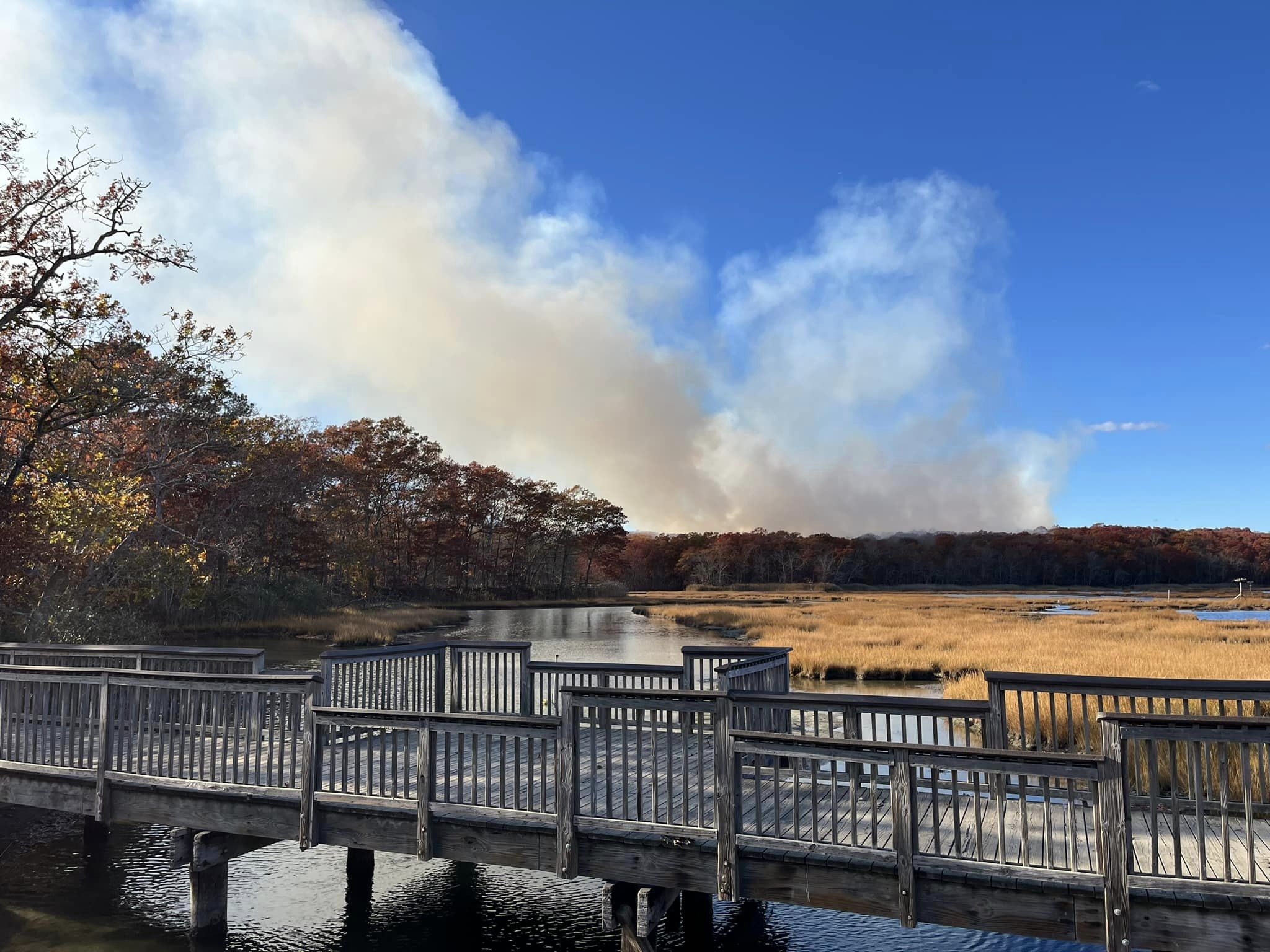 Clouds of smoke rise from a wildfire rise above trees at Rocky Neck State Park in East Lyme, Connecticut.