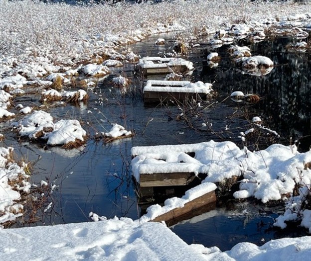 Snowy, wet conditions along New York's Pharaoh Lake Trail. (NYDEC Photo)