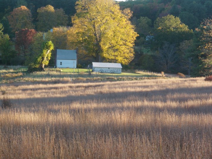 Ward Pound Ridge Reservation in Westchester County, New York. (Lewisboro Land Trust Photo)