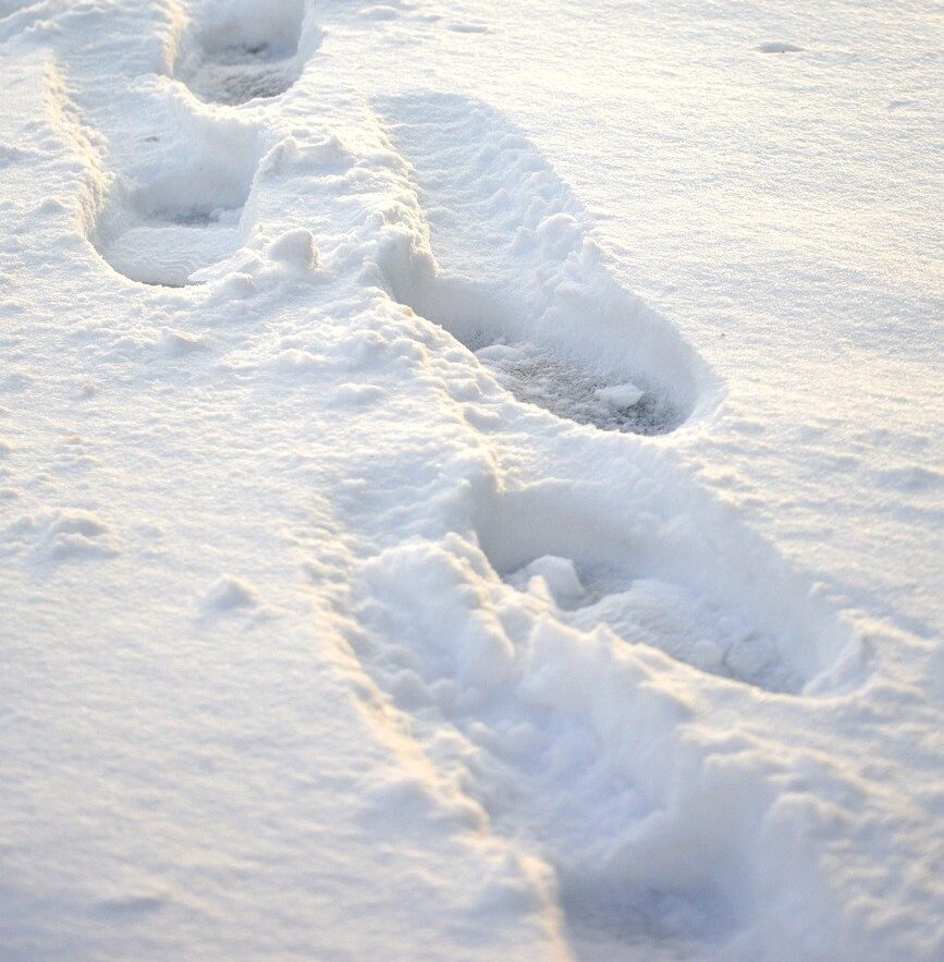 Footprints in the snow.