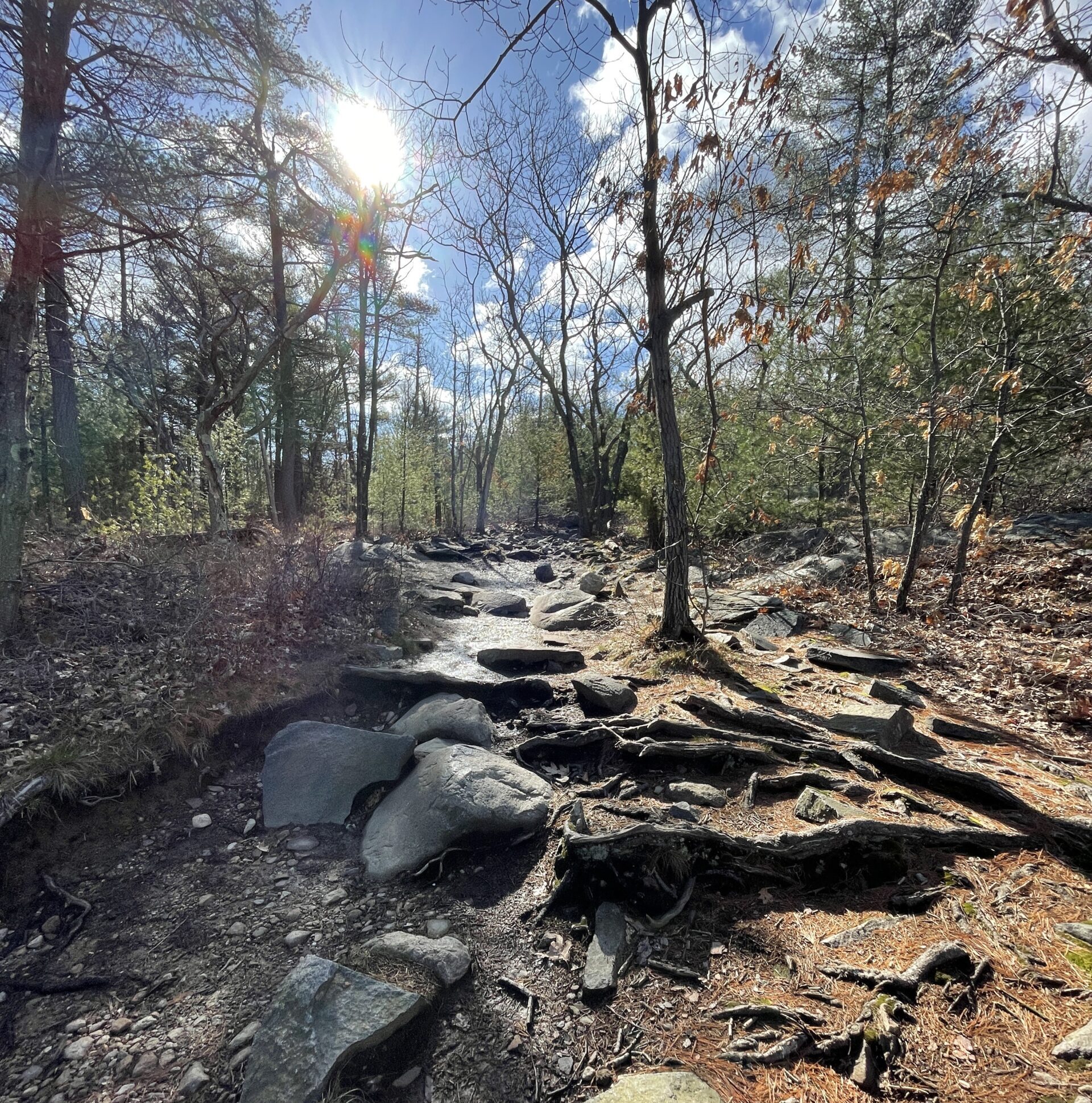 The Skyline Trail in Blue Hills Reservation. (Northeast Explorer Photo)